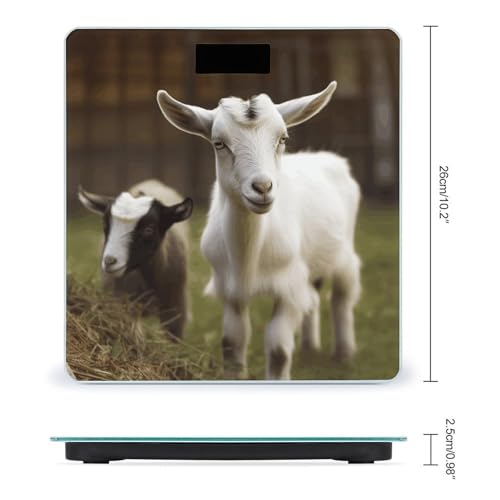 Báscula de baño digital VstaDank con vidrio templado miniatura 2