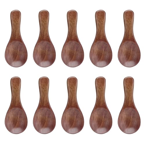 10 pièces petite cuillère à sel en bois, Mini cuillères à dégustation miel café thé cuillères à sucre Condiments cuillèress à sel pour la cuisine cuisine