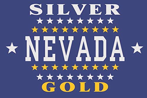Drapeau de la Nevada 1905 grand pavillon historique 150x250cm