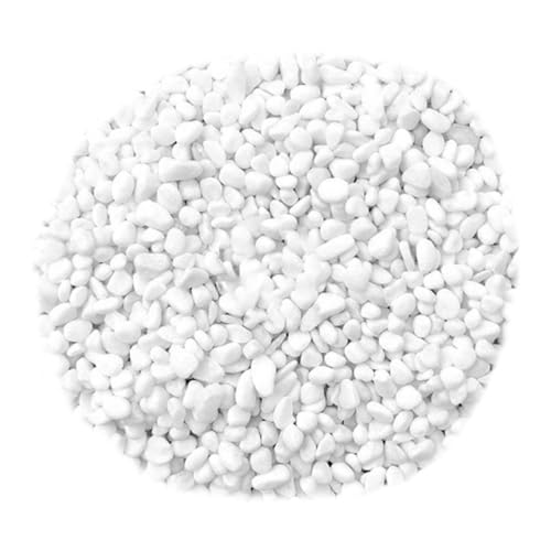 VICASKY Aquarium Rocks for Fish Tank Decor White Decorative Stones for Succulents Indoor Plant Pots Garden Decorative Stones Set