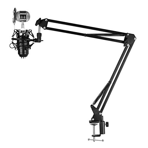 Hihey Soporte de micrófono Ajustable Soporte de micrófono Profesional Brazo de micrófono para el Programa de Estudio Grabación Transmisión Canal de TV