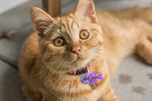 Nifocc 11 Hohlraum Hundemarke Schlüsselbund Silikonform Hundeknochen Förmige Epoxidharz Formen Anhänger Schmuck Gussform Pet Tag Fisch Katze Rund Kristall Casting Form mit Löchern für DIY Basteln