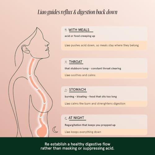 Liáo Supplement