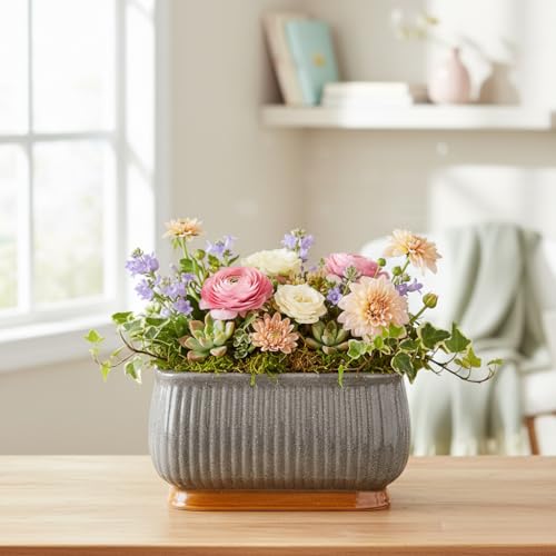 Image of Xtore Striking Textured Ceramic Bonsai Planter Pot for Indoor & Tabletop Decor | Ribbed Grey Finish with Elevated Modern Plant Styling (Pack of 1, Planter Only)