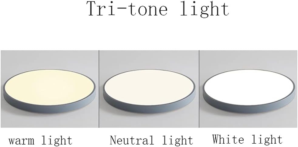 Ceiling Lights Round Simple Panel Light Modern Minimalist Cheap LED Ceiling Lamp Household Tri-Color Variable Light Flush Mount Fixture Lamp Balcony Corridor Kitchen