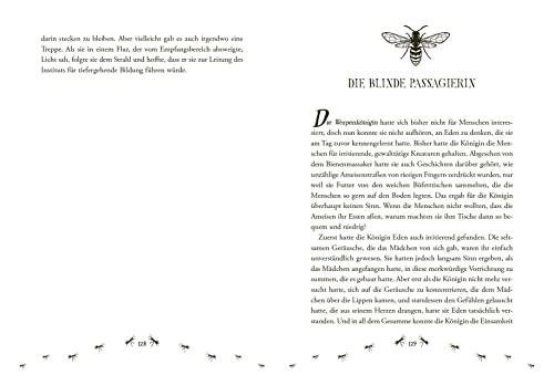 Insecta – Das Institut der Unsichtbaren: Wie sähe die Welt aus, wenn wir mit Insekten sprechen könnten?