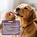 Dog Allergy Chews 200ct - Dog Allergy and Itching Skin Relief Anti Itch Aller Immune Bites for Dogs licking Paws Treatment Relief Itchy Chew Probiotics Vitamins for Skin and Coat Allergies - Chicken