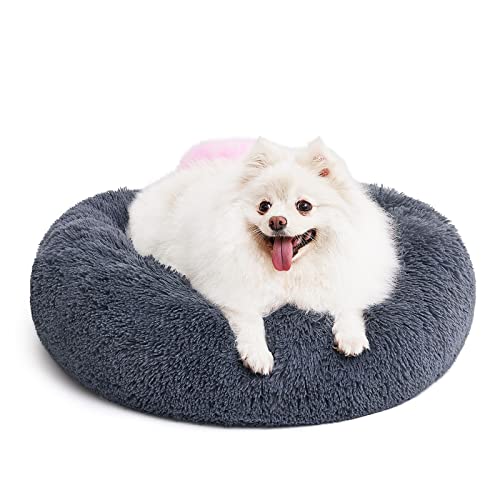 Top 10 Dog Beds For Seniors of 2022 Katynel
