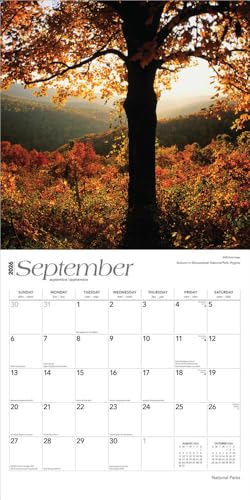 National Parks | 2026 12 x 24 Inch (Hanging) Monthly Square Wall Calendar | Plastic-Free | BrownTrout | Scenic Yosemite Yellowstone Nature - image 4