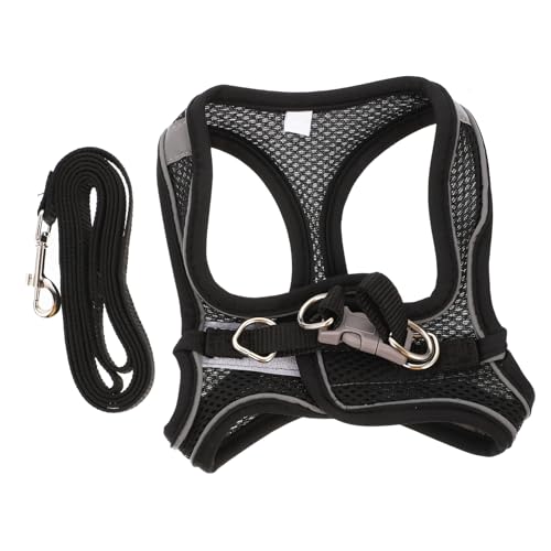 EXAOMBLE Lpn[lX [h yʒ߉\bVxXg  @\t Eɂ[v oUpybgpi