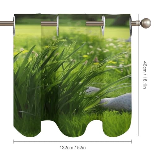 Cenefa opaca verde primavera que bloquea la luz en ventanas de baño y cocina 3
