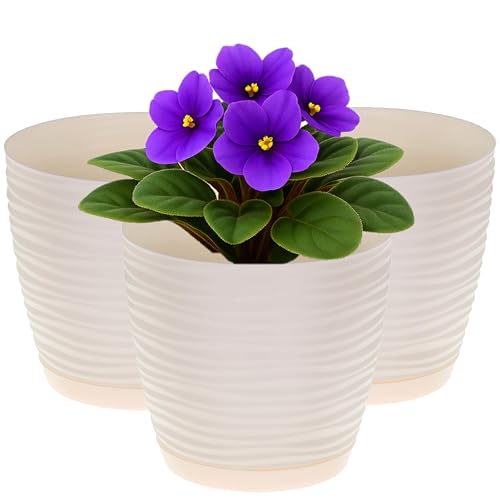 Home Garden Ornaments Pflanzentopf für Zimmerpflanzen – 3er Set Blumentöpfe aus Kunststoff mit Wellenstruktur, Drainagelöchern & integriertem Untersetzer – für Innen & Außenbereich (15 cm, Creme) Home Garden Ornaments Pflanzentopf für Zimmerpflanzen – 3er Set Blumentöpfe aus Kunststoff mit Wellenstruktur, Drainagelöchern & integriertem Untersetzer – für Innen & Außenbereich (15 cm, Creme)