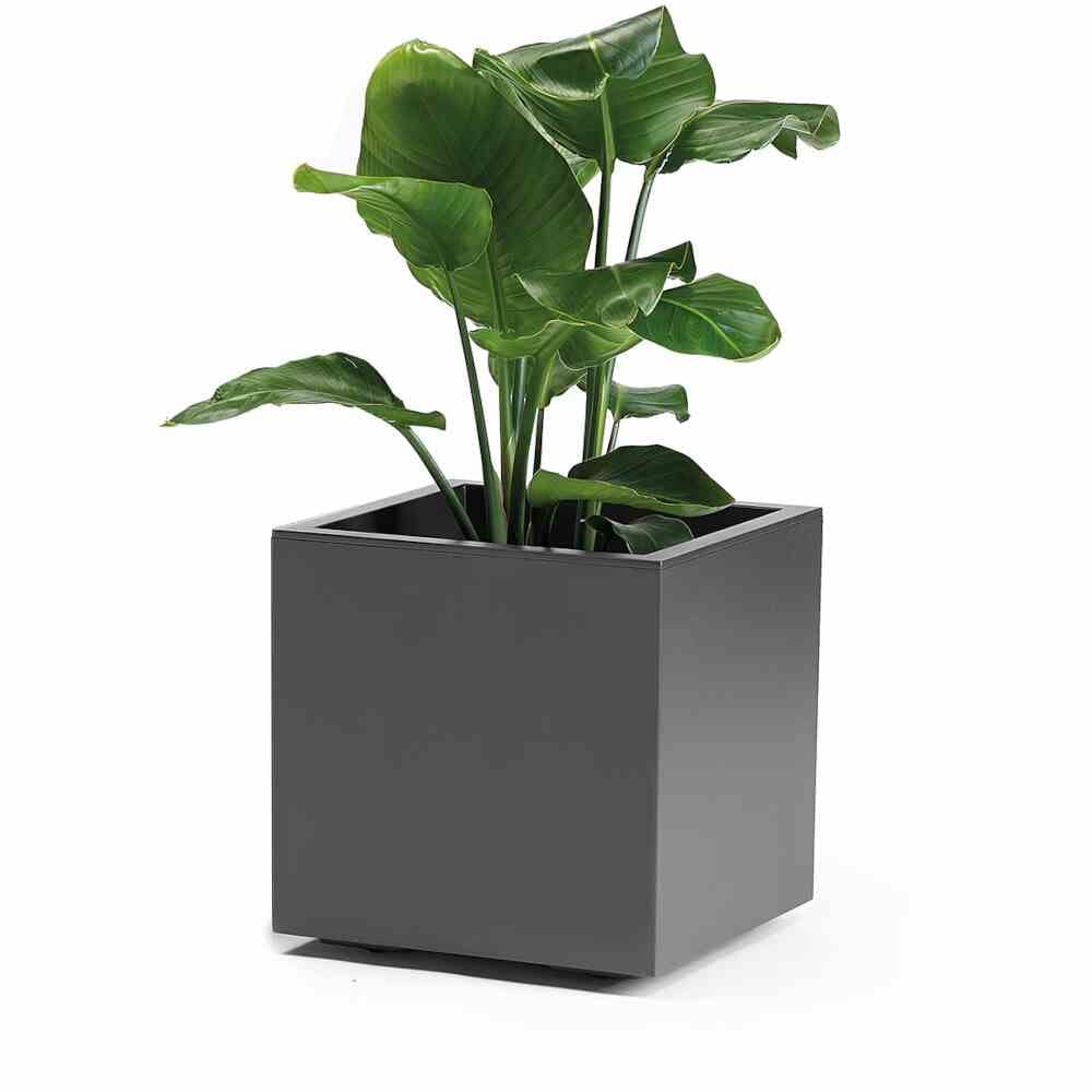 EURO3PLAST Kiste Kebe aus recyceltem Kunststoff mit integriertem Wasserspeicher, 40 cm, Farbe Anthrazit