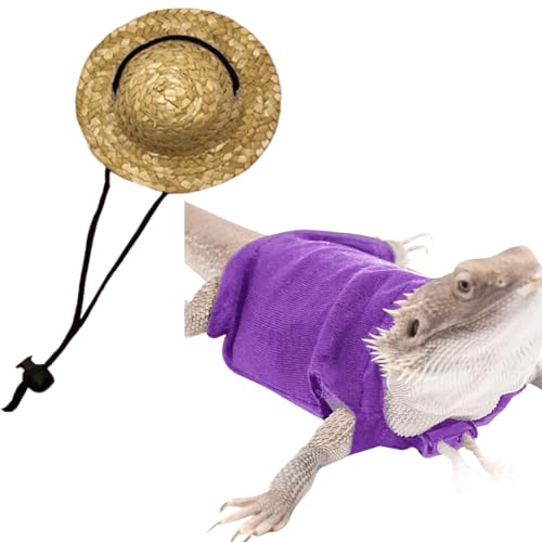 Roupas de lagarto roupas de lagarto roupas de dragão barbudo roupas com capuz para répteis suéter ca