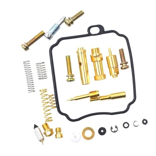 Kit de reparación de carburador para XV250 Virago 250: soluciona tirones y fugas
