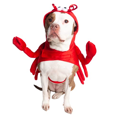Pet Krewe Dog Lobster Costume | Extra Large Fish Pet Costume for Dogs 1st Birthday, National Dog Day & Celebrations | Halloween Outfit for Small, Medium, Large & XL Cats & Dogs