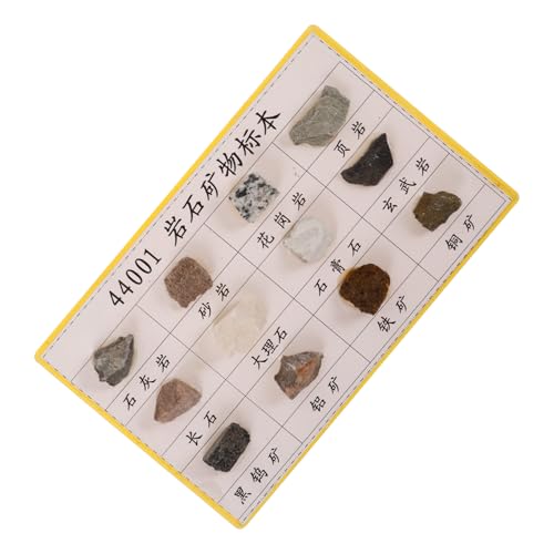 VILLFUL 12 Pcs Rock Specimen Set Student Sicorss Showses Labtops Knowledee Labrynths Mineral Rock Kit Rock Specimen for Display Mineral Rock Specimen for Teaching Mineral Rocks Plastic