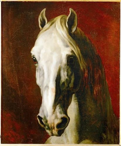 Posters et art Géricault Kopf Eines Schimmels impression haut de gamme 60x90cm