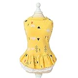 Poner en este vestido y hacer que su perro fresco.