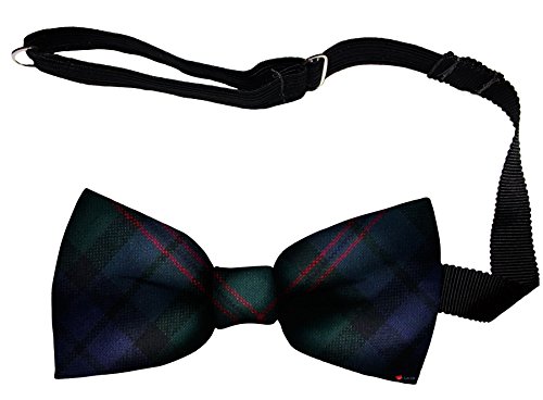 Noeud papillon en laine Dundas Modern Tartan pour homme I LUV LTD