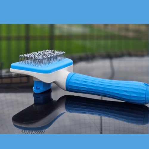 Image of Cat Brush for Shedding and Grooming, 2-in-1 Dog Brush and Tick Remover Tool for Long Hair Pets, Deshedding Undercoat Comb for Cats & Dogs by Cute Meows