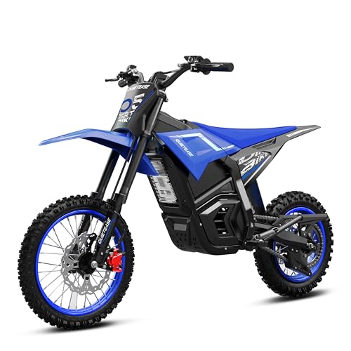 QuietEase 3000W Electric Dirt Bike