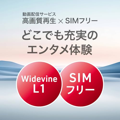 aiwa tab AS8L-2サムネイル5