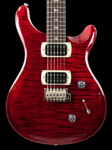 Paul Reed Smith(PRS) SE Custom 24 (Ruby)�G���L�M�^�[