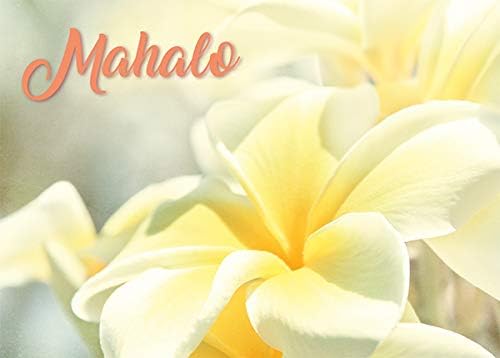 Pacifica Island Art Greeting Cards Set (12) Na Lei Pua Melia by S.Mau -Thank You