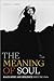 The Meaning of Soul: Black Music and Resilience Since the 1960s (Refiguring American Music) BLACK+DECKER günstig Kaufen-The Meaning of Soul: Black Music and Resilience Since the 1960s (Refiguring American Music)