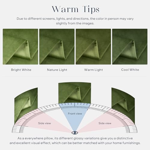 Phantoscope Pack of 2 Velvet Decorative Throw Decorative Pillow Cover Soft Solid Square Cushion Case for Couch Green 26 x 26 inches 65 x 65 cm