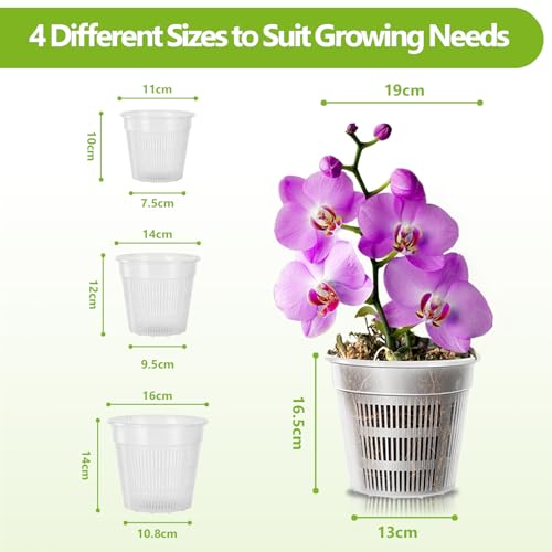 Pots à orchidées transparents pour un drainage parfait et des racines saines