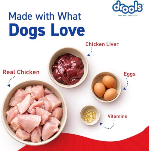 Image of Drools Adult Wet Dog Food (12 x 60g) | Real Chicken & Liver Chunks in Gravy | Supports Skin, Coat, Joint Health & Easy Digestion