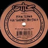 utils python import  Asem Shama - The Shepard Project - Utils - utils #010