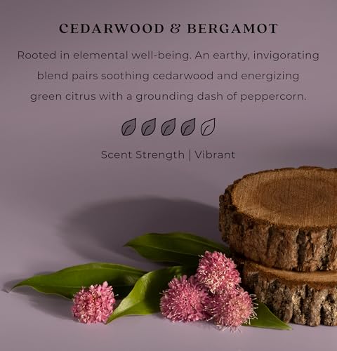 Image of Enviroscent Non-Toxic* Car Air Freshener Auto Stix - Scents Made Safer - Enjoy Fragrance That Lasts Up to 480 Days - Includes Auto Stix Diffusers & Elastic Loops - Cedarwood & Bergamot (Pack of 8)