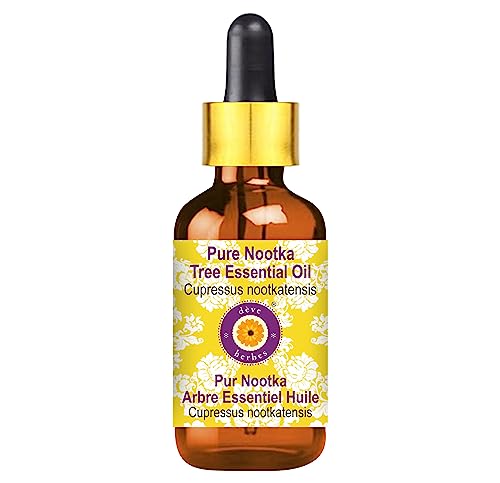 Huile essentielle de Arbre Nootka Cupressus nootkatensis distillé à la vapeur 5ml