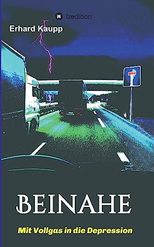 Beinahe: Mit Vollgas in die Depression [German] 3743930641 Book Cover
