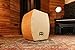 Meinl Arch Bass Cajon Box Drum with Internal Snares - NOT MADE IN CHINA - Maple Frontplate / Hardwood Body in Super Natural Finish, 2-YEAR WARRANTY (SUBCAJ7SNT-M)