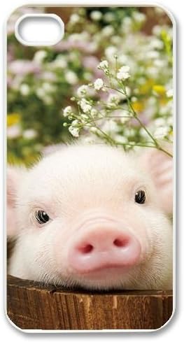 funny pig Phone Case for Iphone 4,4S,diy funny pig phone case series 1