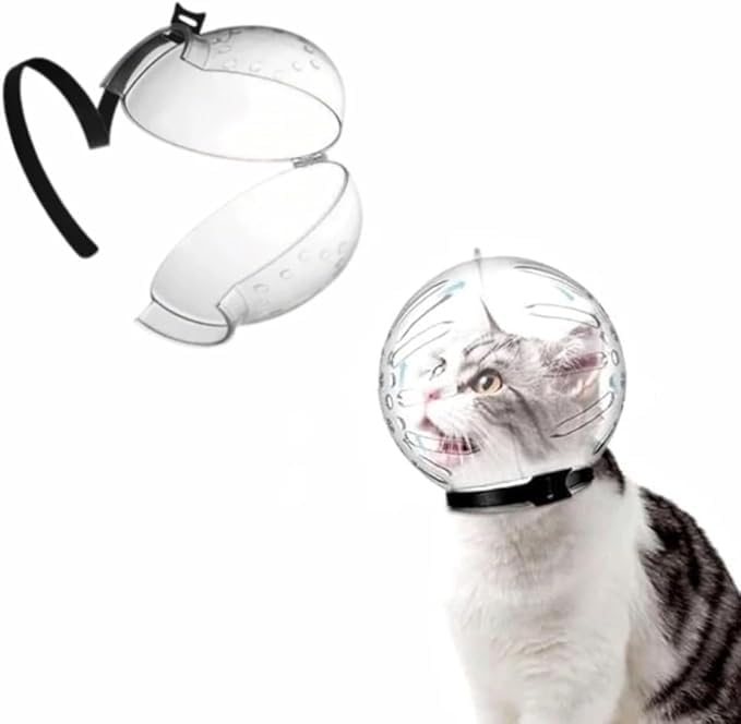 Muselières pour chat transparentes anti-morsure et protection de tête de chaton