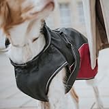 HUNTER Hundemantel UPPSALA COZY, Farbe: anthrazit/petrol, wasser- und windabweisend, wärmendes Innenfutter, reflektierend, optimaler Komfort, waschbar bei 30 °C, für kalte Tage, Größe: 35