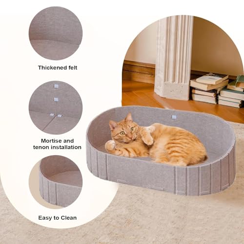 Espuma de compañía para silla sofá ventana coche pequeños gatos 4