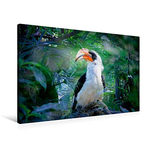 Preisvergleich Produktbild CALVENDO Hornbill