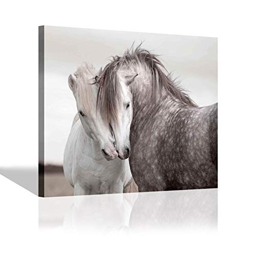 SD SOFT DANCE Horses Picture Canvas Wall Art: White and Gray Horse Painting Print Wildlife Artwork for Bedroom (24" x 18" x 1 Panel)