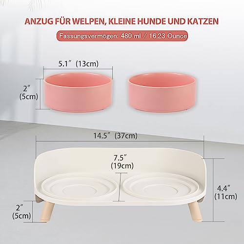 Katzen Napfset Katzennapf Erhöht Keramik - Doppelt Katzennäpfe mit Rutschfestem Ständer und Spritzschutz - Fressnapf Katze Napf - Futternapf Wassernapf Set für Katzen Welpen Kleine Hunde - 2 x 480 ML
