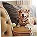 BESPORTBLE Pet Memorial Gifts Hanging Bell Bell Jewelry Lock Chain Necklace Dog Necklace Pendant