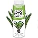 Sago Palm Fertilizer – Liquid Plant Food for Rich Green Fronds, Stronger Roots & Healthy New Growth, 8 oz