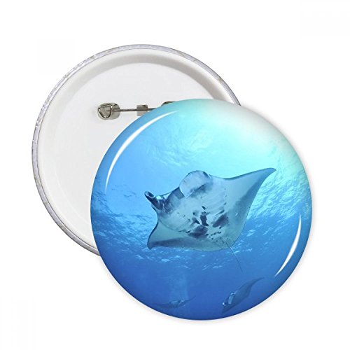 Badge Ocean Ray Skate pour masquer un accroc et décorer une veste