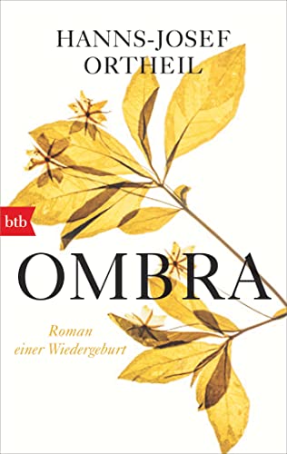 Preisvergleich Produktbild OMBRA: Roman einer Wiedergeburt