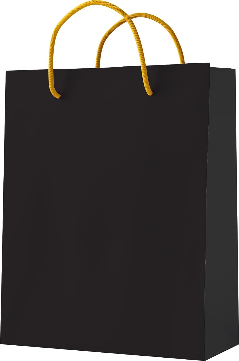 APEX GRAPHICS Paperbags - Black Small Paper Bags Gift Bags for Return Gifts | Birthday | Party Favour Bags |Size 7x9x3 inch | Pack of 10 (B0CXLYR8GY) Amazon Price History, Amazon Price Tracker